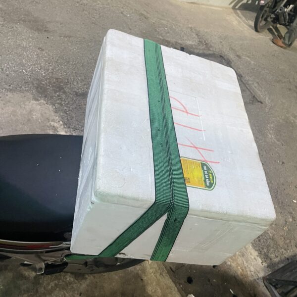 giao chả bò